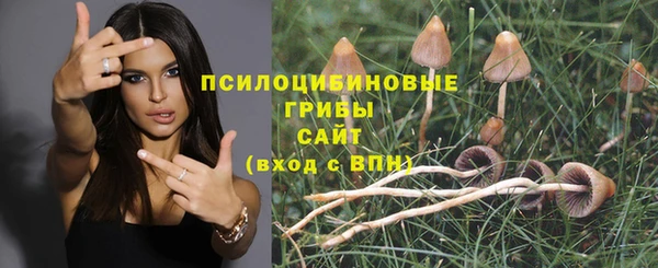 молекула духа Каменка
