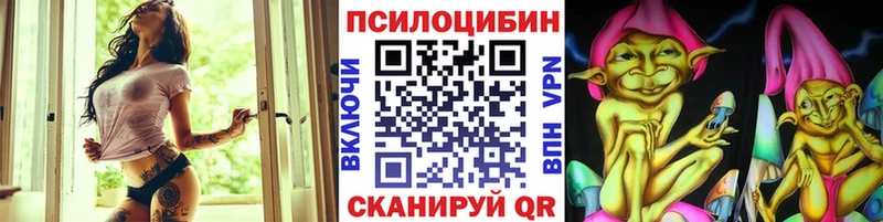 Галлюциногенные грибы Psilocybine cubensis  Купить где  Давлеканово 